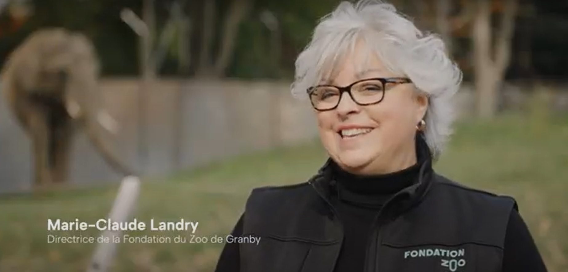 Zoo de Granby Fondation cover video
