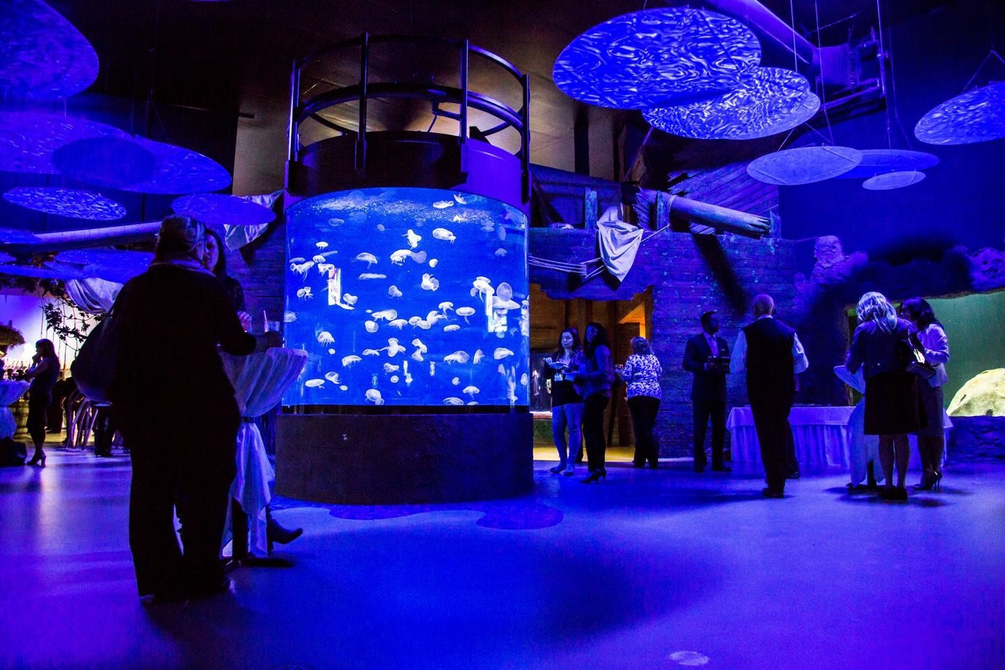 The South Pacific Odyssey Aquarium | Zoo de Granby