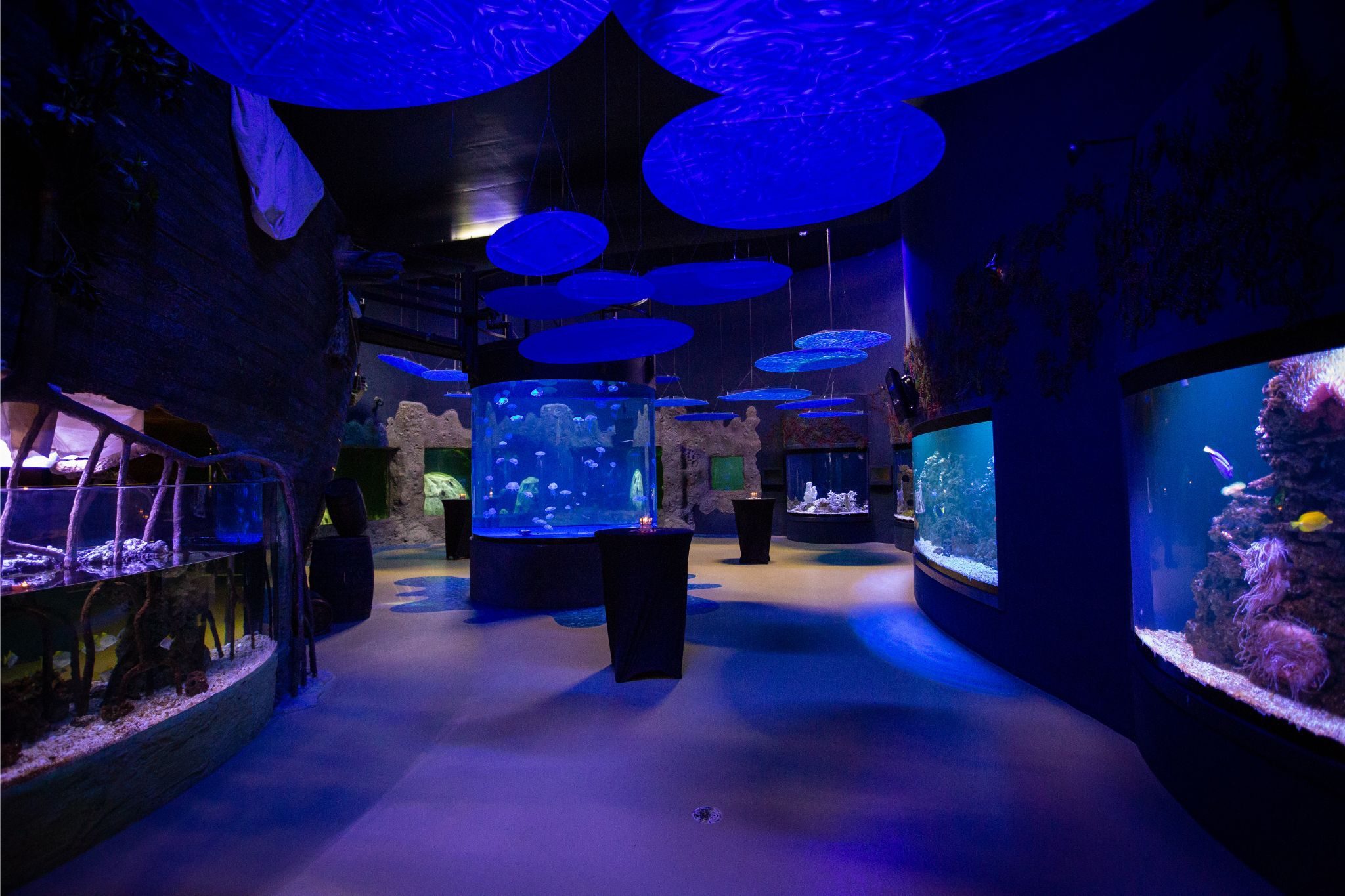 The South Pacific Odyssey Aquarium | Zoo de Granby