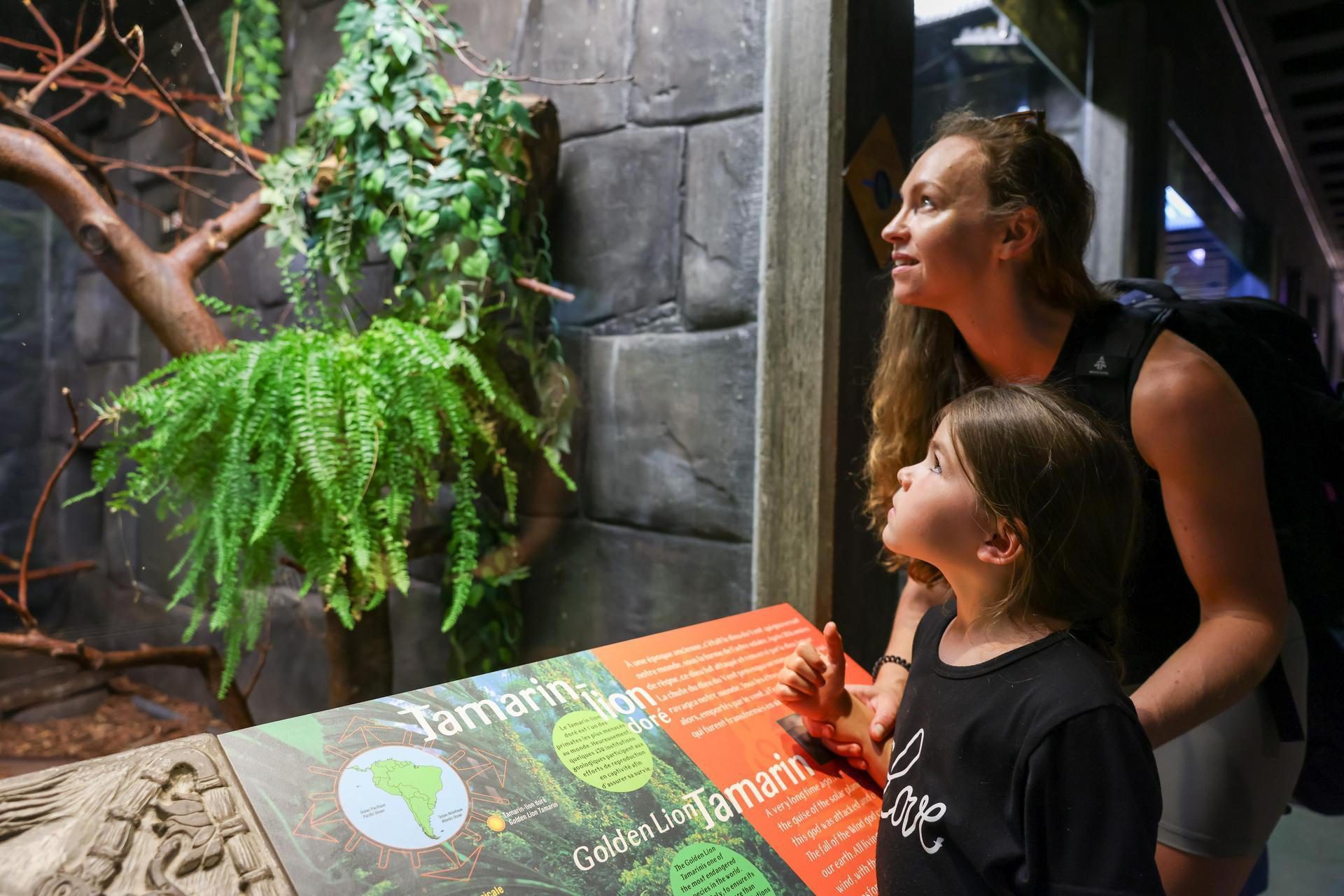 Zoo de Granby panneau didactique temple tamarin enfant parent