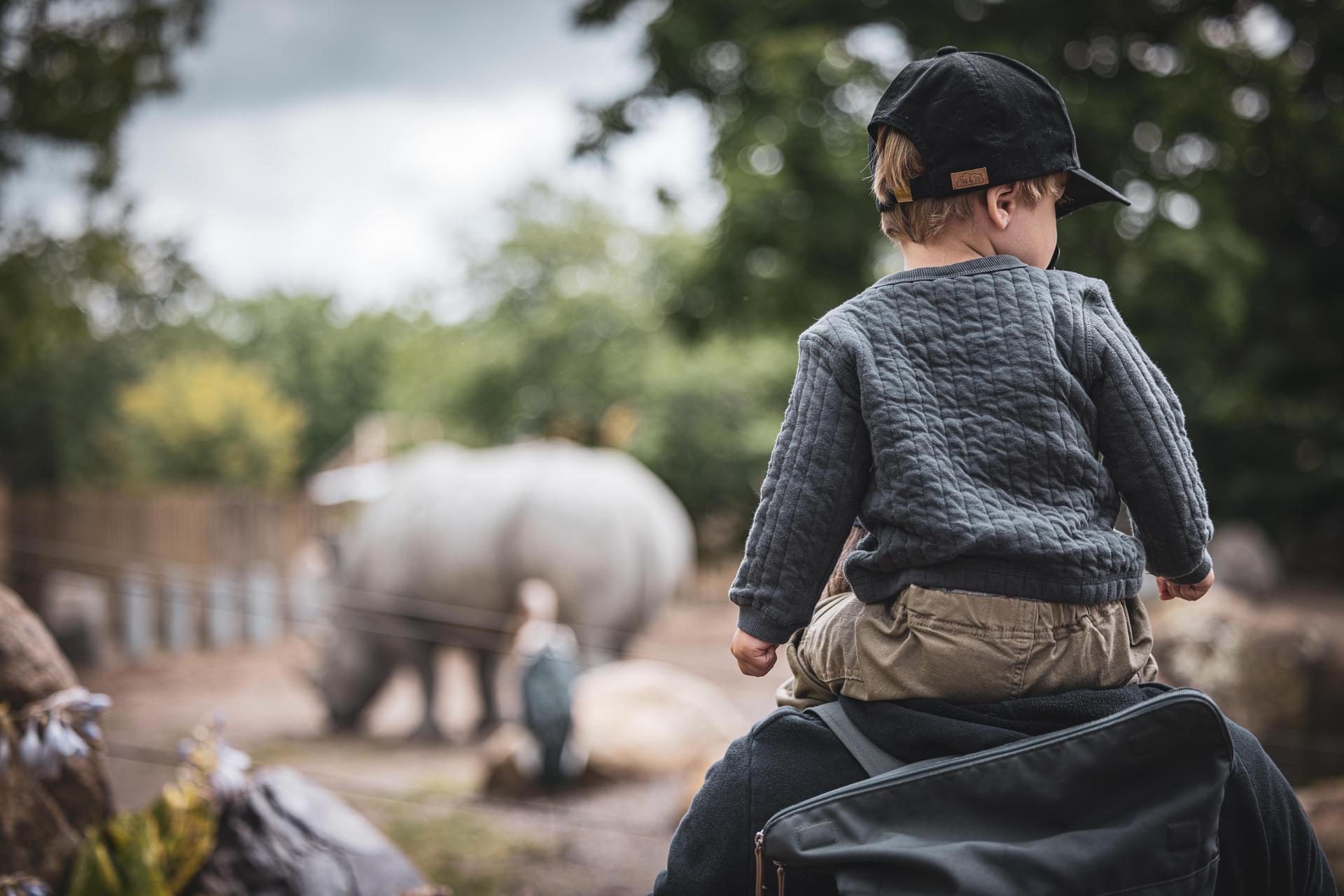 Zoo de Granby rhino visiteur enfant
