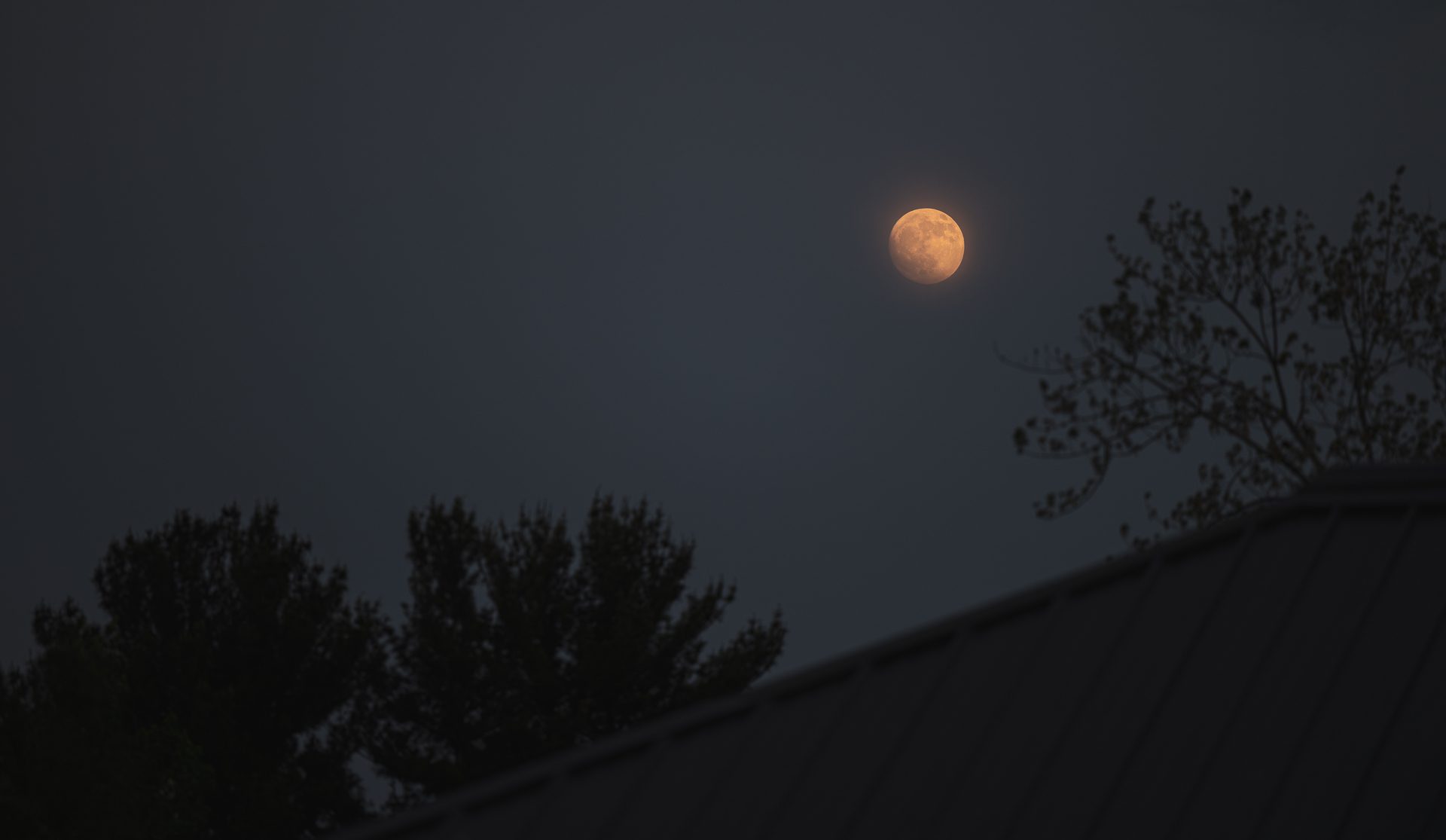 Zoo de granby Zoo la nuit ZLN lune soir